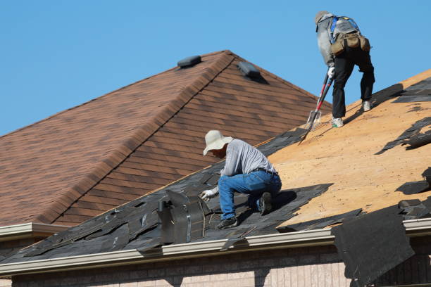 Best Solar Panel Roofing Installation  in Reston, VA